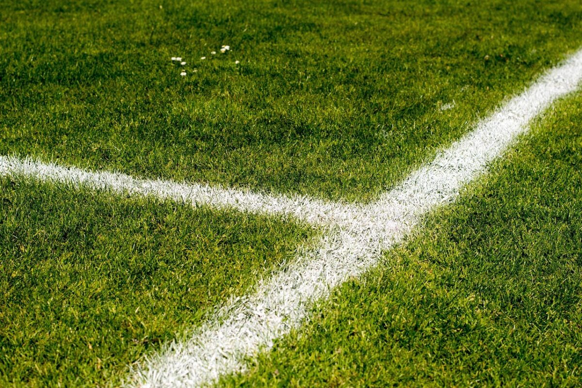 campo del mundial