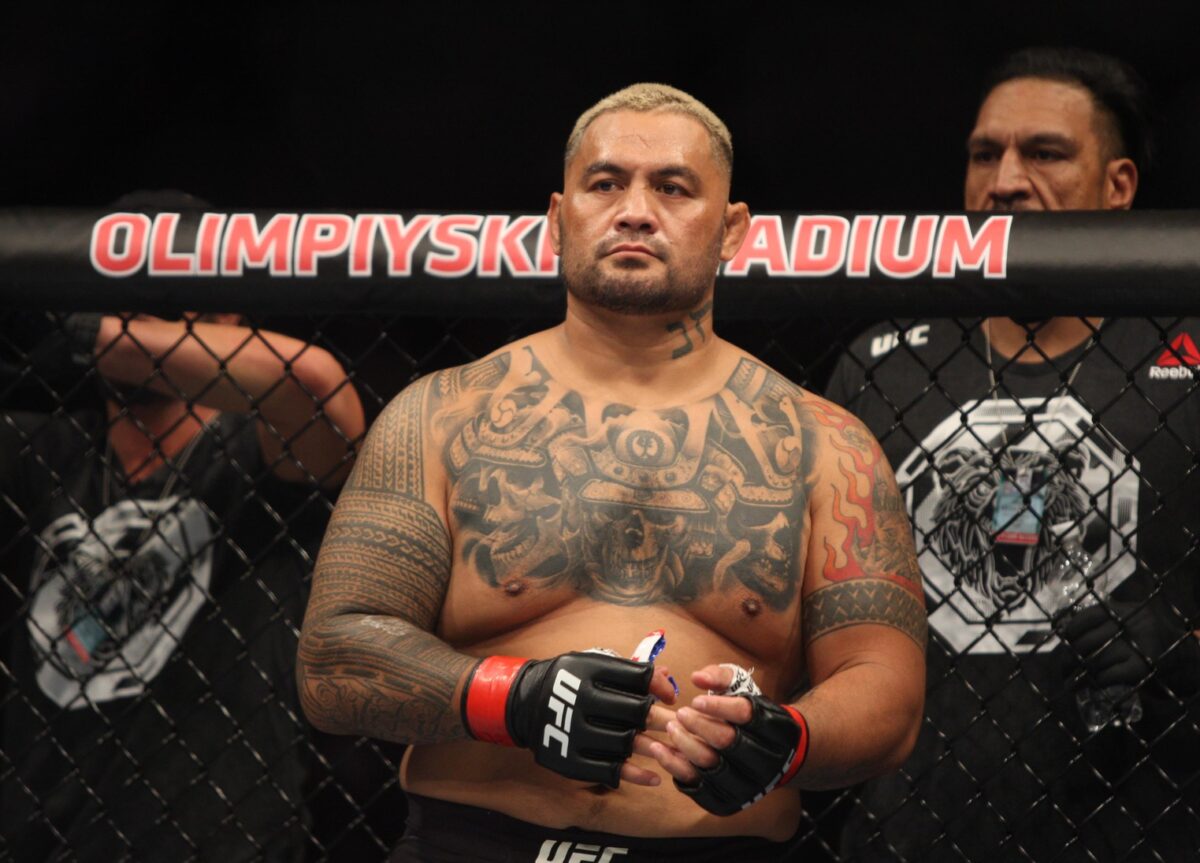 Top 5 Most Durable Chins In The UFC