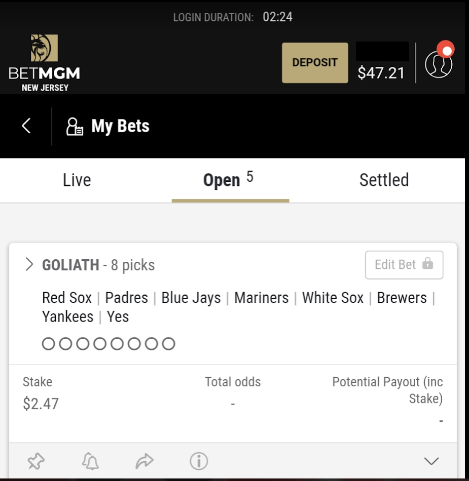 BetMGM Sportsbook wager