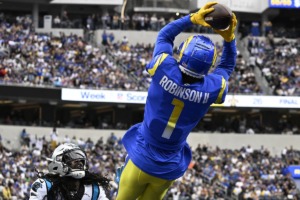 Allen Robinson