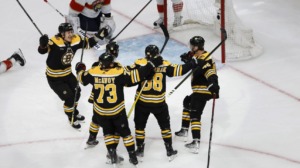 Bruins