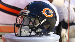 bears