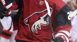 Coyotes