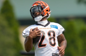 Joe Mixon