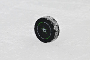 gel effectif nhl