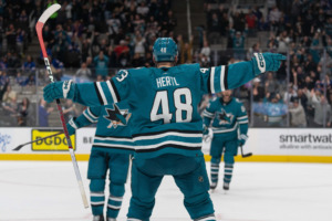 Tomas hertl