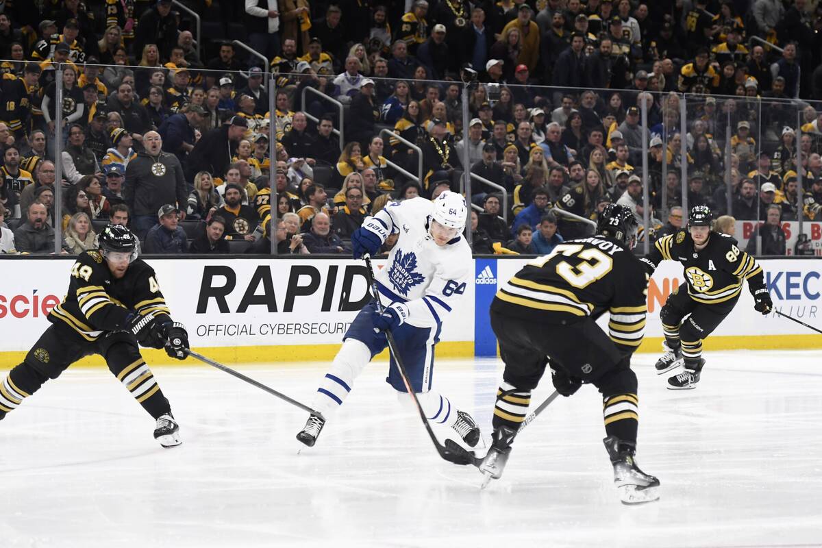 Bruins