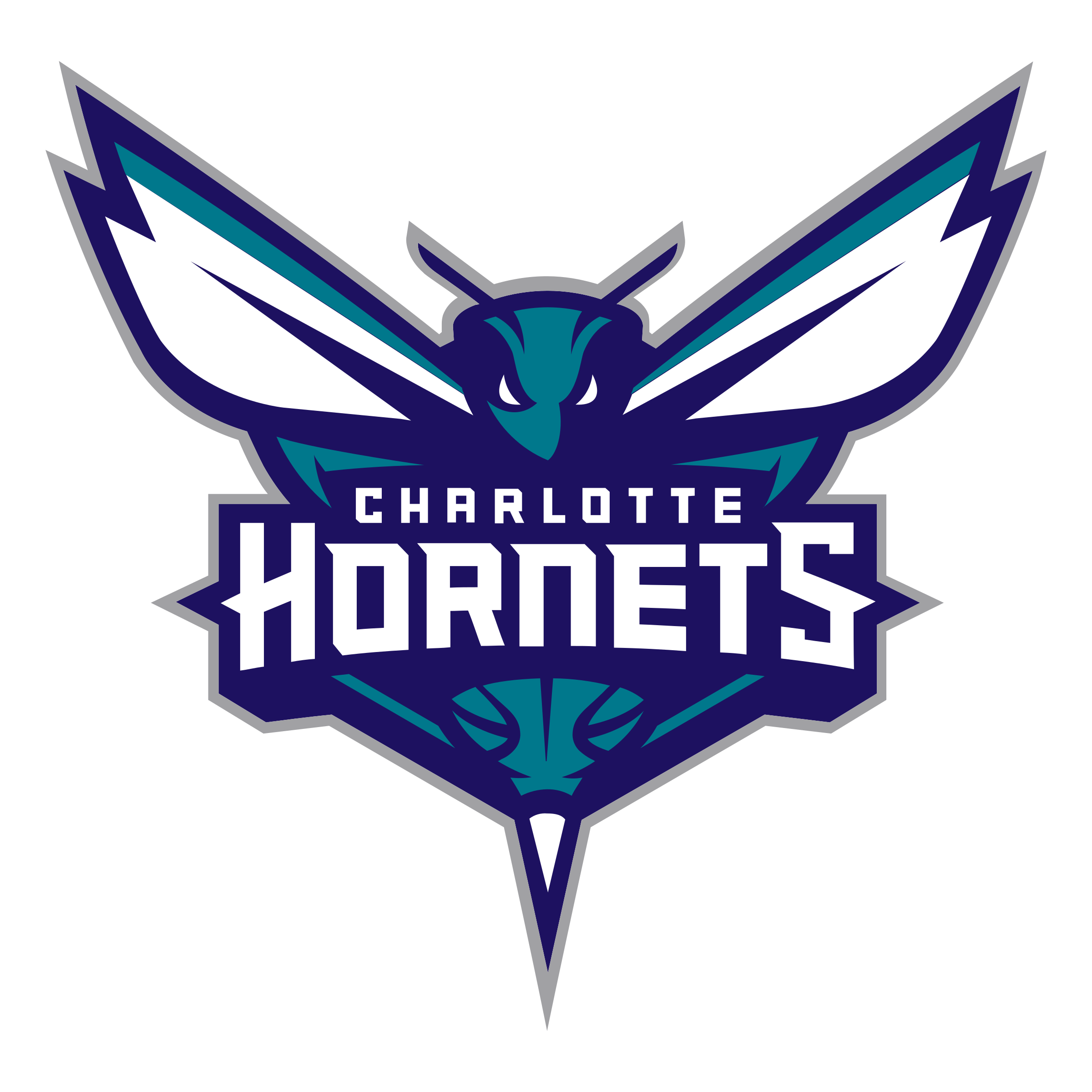 CHARLOTTE HORNETS