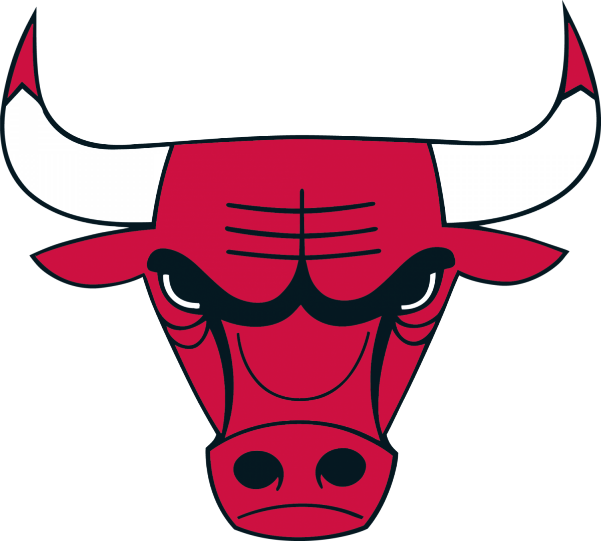 CHICAGO BULLS
