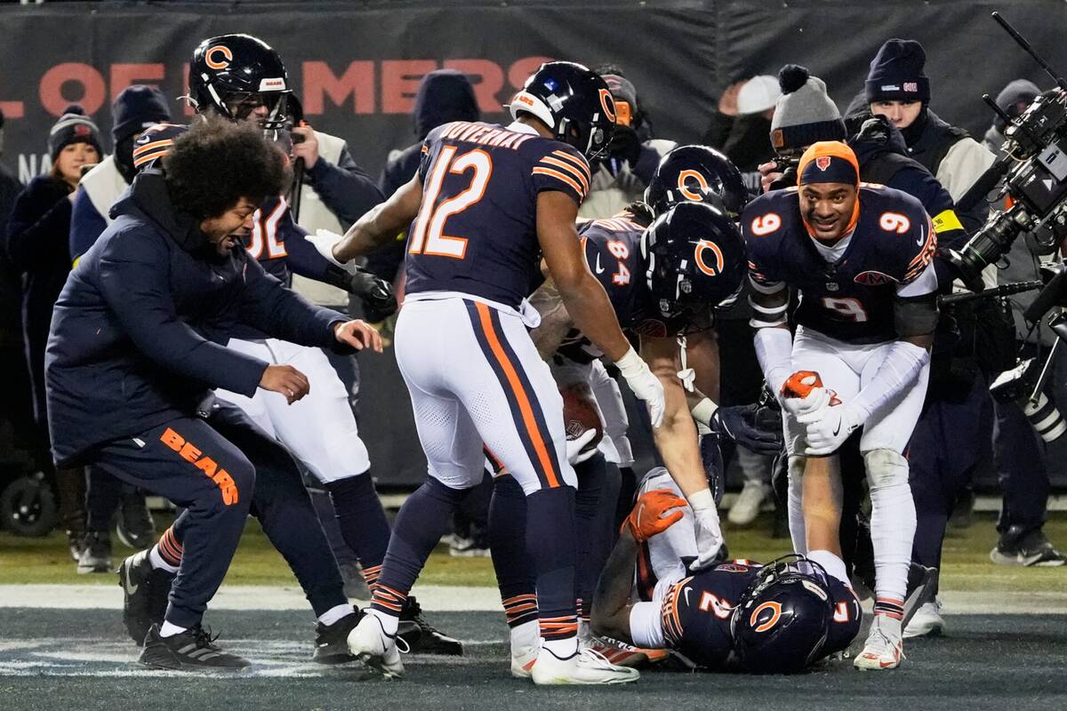 Pronostics NFL NFC Nord