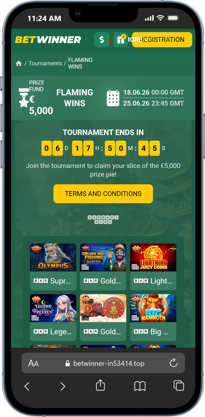 Betwinner Licence, Safety