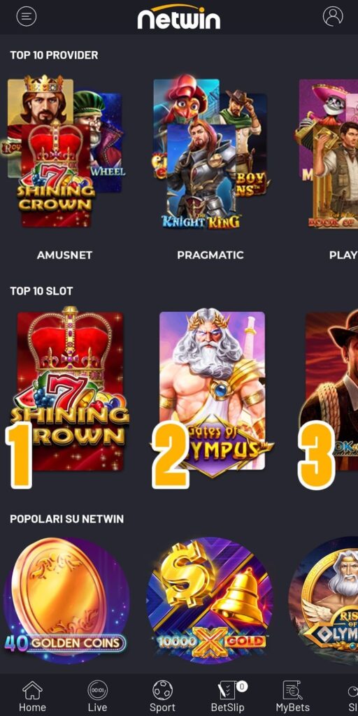 NetWin App: interfaccia e funzionalità disponibili