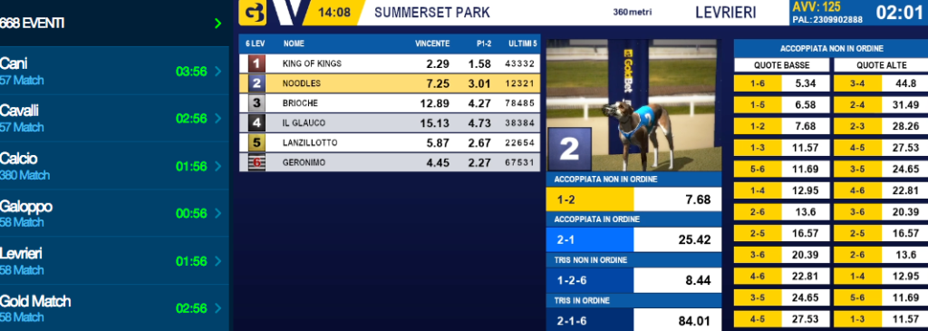 Betflag virtual sports