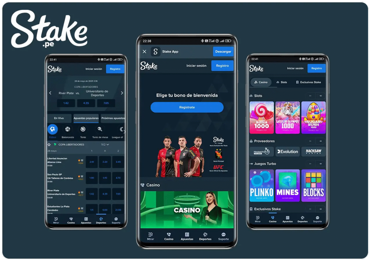 Stake Requisitos del sistema/compatibilidad