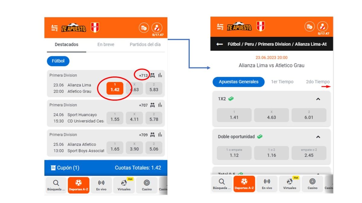 Captura de como apostar en Te Apuesta pasos 5 y 6