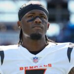 Tee Higgins Cincinnati Bengals