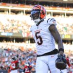 Aug 10, 2024; Cincinnati, Ohio, USA; Cincinnati Bengals wide receiver Tee Higgins (5) reacts after scoring a touchdown against the Tampa Bay Buccaneers in the first half at Paycor Stadium.