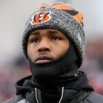 tee-higgins