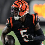 Cincinnati Bengals WR Tee Higgins