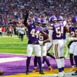 Minnesota Vikings defense