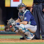 Sep 21, 2024; Arlington, Texas, USA; Seattle Mariners catcher Cal Raleigh (29) looks over to the dugout during the sixth inning against the Texas Rangers at Globe Life Field. Mandatory Credit: Andrew Dieb-Imagn Images