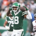 Sep 29, 2024; East Rutherford, New Jersey, USA; New York Jets wide receiver Mike Williams (18) celebrates a first down reception during the second half against the Denver Broncos at MetLife Stadium.