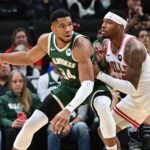 Nov 20, 2024; Milwaukee, Wisconsin, USA; Milwaukee Bucks forward Giannis Antetokounmpo (34) is guarded by Chicago Bulls forward Torrey Craig (13) in the first quarter at Fiserv Forum.