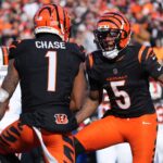 Cincinnati Bengals wide receivers Ja'Marr Chase (1) and Tee Higgins (5) celebrate against the Cleveland Browns on Sunday, Dec. 22, 2024.