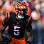 Dec 22, 2024; Cincinnati, Ohio, USA; Cincinnati Bengals wide receiver Tee Higgins (5) runs with the ball against the Cleveland Browns in the first half at Paycor Stadium. Franchise tag