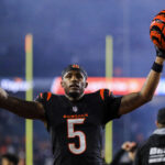 Dec 28, 2024; Cincinnati, Ohio, USA; Cincinnati Bengals wide receiver Tee Higgins (5) walks off the field after the victory over the Denver Broncos at Paycor Stadium. Mandatory Credit: Katie Stratman-Imagn Images - Tee Higgins