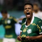 Palmeiras