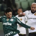 Sport x Palmeiras