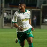Palmeiras