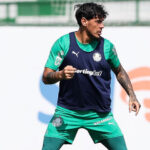 Palmeiras