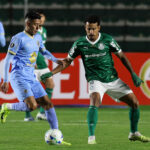 Palmeiras