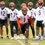 Bengals, Chase