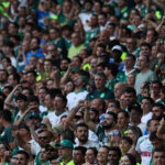 Palmeiras