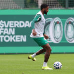 Palmeiras