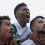 Palmeiras