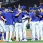 Jun 26, 2025; New York City, New York, USA; The New York Mets celebrate after defeating the Atlanta Braves 4-0 at Citi Field. Mandatory Credit: Wendell Cruz-Imagn Images