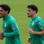 Palmeiras