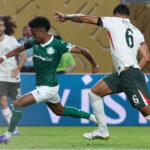 Palmeiras