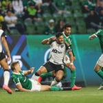 Palmeiras