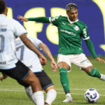 Palmeiras