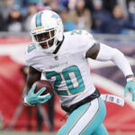 Nov 26, 2017; Foxborough, MA, USA; Miami Dolphins free safety Reshad Jones (20) runs the ball back for a touchdown after recovering a fumble against the New England Patriots during the second quarter at Gillette Stadium. Mandatory Credit: Winslow Townson-USA TODAY Sports