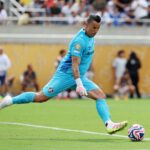 Fábio - FIFA - Fluminense