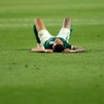 Palmeiras