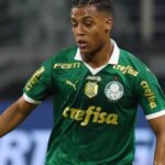 Palmeiras