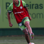 Palmeiras - Thalys