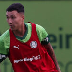 Palmeiras